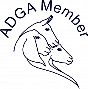 adga member